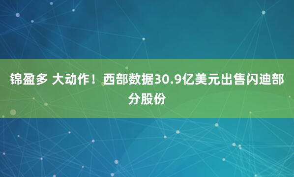 锦盈多 大动作！西部数据30.9亿美元出售闪迪部分股份
