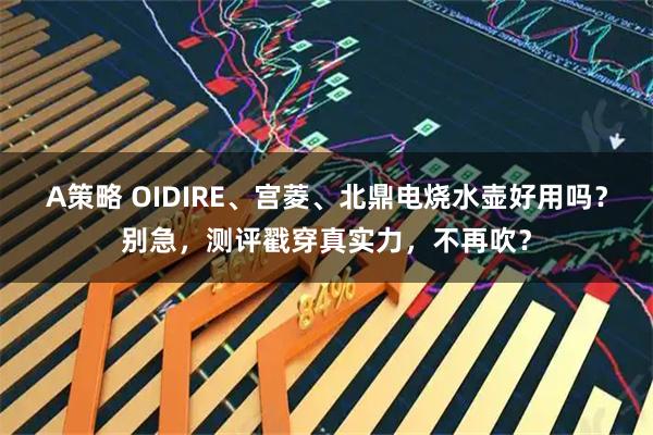 A策略 OIDIRE、宫菱、北鼎电烧水壶好用吗？别急，测评戳穿真实力，不再吹？