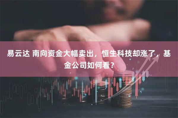 易云达 南向资金大幅卖出，恒生科技却涨了，基金公司如何看？