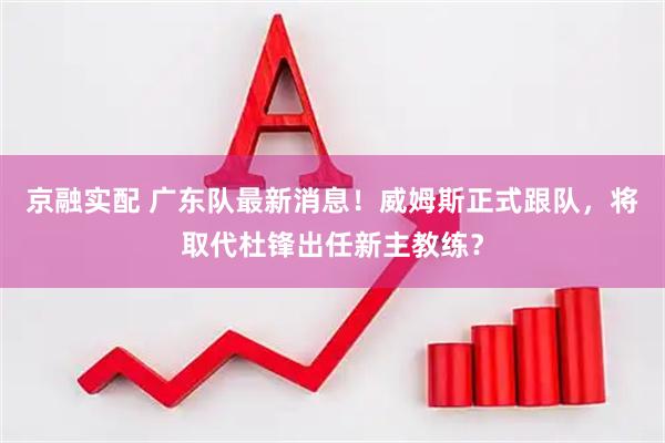 京融实配 广东队最新消息！威姆斯正式跟队，将取代杜锋出任新主教练？