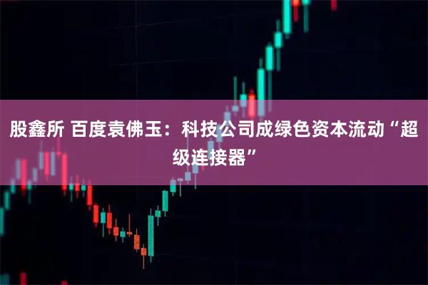 股鑫所 百度袁佛玉：科技公司成绿色资本流动“超级连接器”