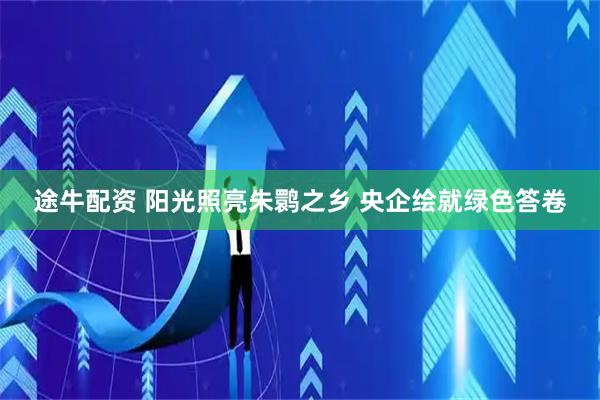途牛配资 阳光照亮朱鹮之乡 央企绘就绿色答卷