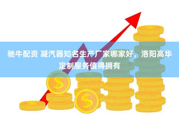 驰牛配资 凝汽器知名生产厂家哪家好，洛阳高华定制服务值得拥有