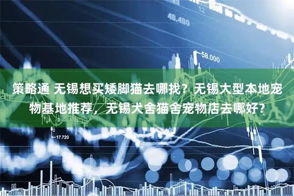 策略通 无锡想买矮脚猫去哪找?无锡大型本地宠物基地推荐,无锡犬舍猫舍宠物店去哪好?