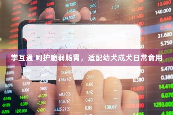 掌互通 呵护脆弱肠胃，适配幼犬成犬日常食用