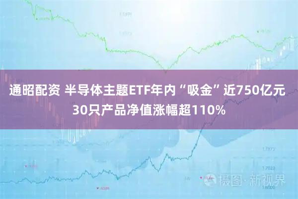 通昭配资 半导体主题ETF年内“吸金”近750亿元 30只产品净值涨幅超110%